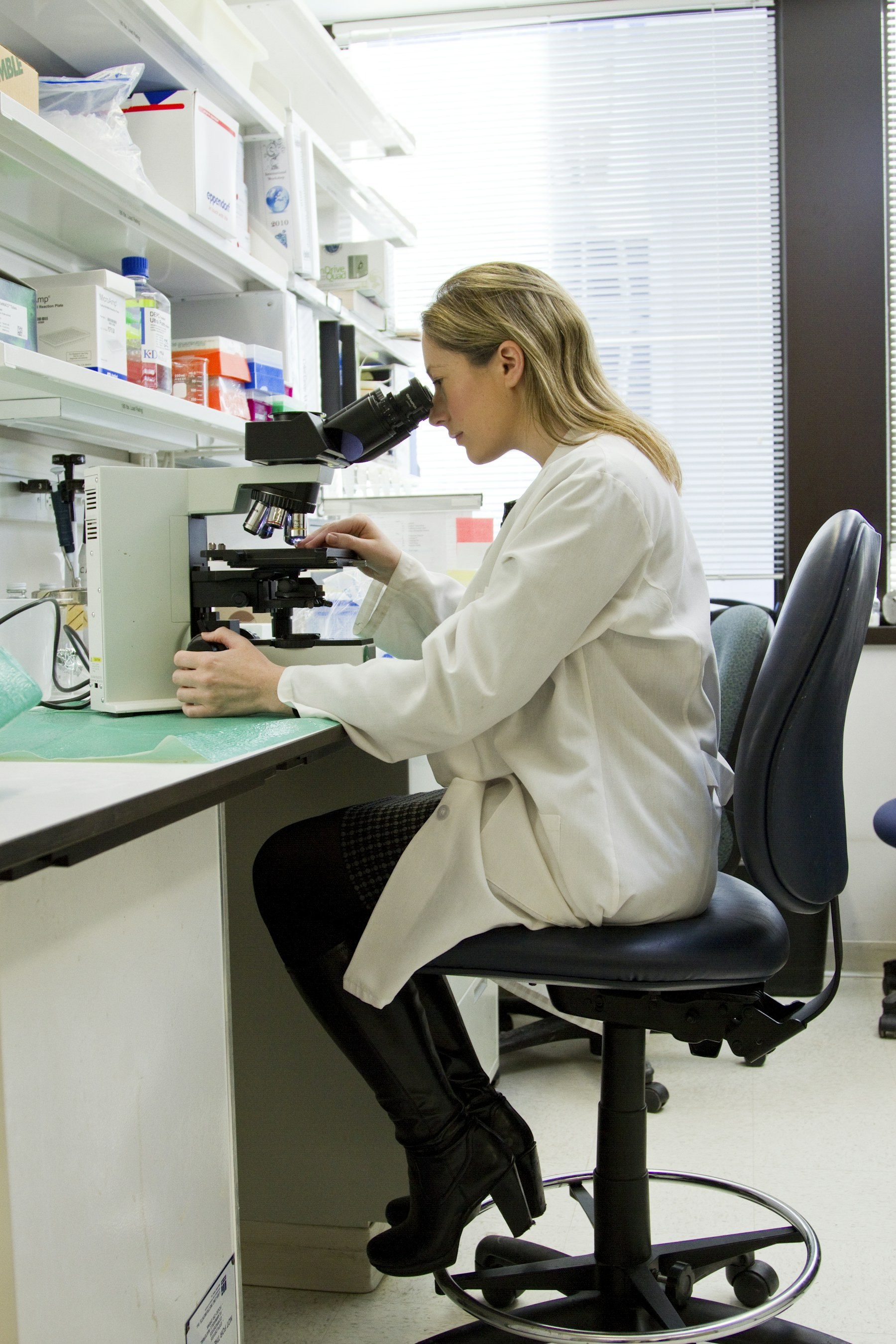 Clinical glassware in a Stabicon laboratory